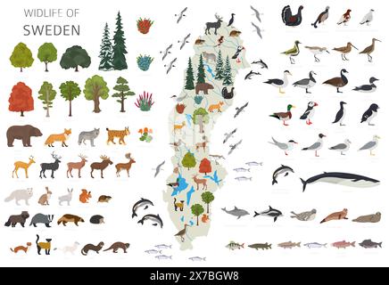 Schwedens Geographie der Tierwelt. Tiere, Vögel und Pflanzen, die auf weißem Set isoliert sind. Schwedische Natur-Infografik. Vektorabbildung Stock Vektor