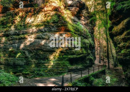 Im tiefen Wald der Sächsischen Schweiz, Nationalpark, Elbsandstein, Moos, Malerweg, Wandern Stockfoto