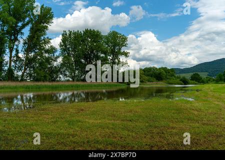 Überflutetes Grünland bei Rastatt in Baden-Württemberg, Deutschland, Europa Stockfoto