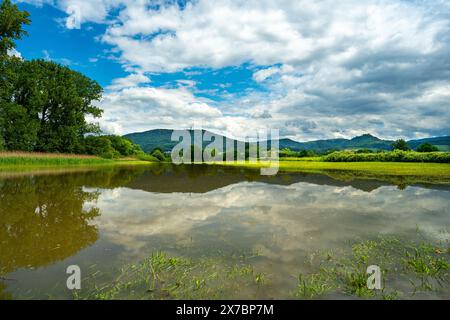 Überflutetes Grünland bei Rastatt in Baden-Württemberg, Deutschland, Europa Stockfoto