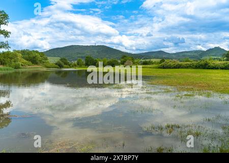 Überflutetes Grünland bei Rastatt in Baden-Württemberg, Deutschland, Europa Stockfoto