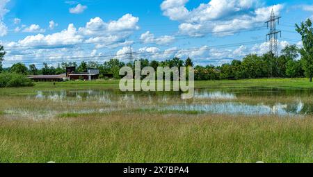 Überflutetes Grünland bei Rastatt in Baden-Württemberg, Deutschland, Europa Stockfoto