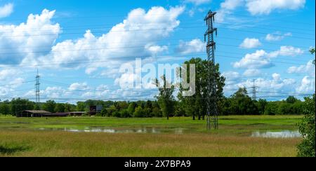 Überflutetes Grünland bei Rastatt in Baden-Württemberg, Deutschland, Europa Stockfoto