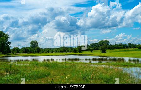 Überflutetes Grünland bei Rastatt in Baden-Württemberg, Deutschland, Europa Stockfoto