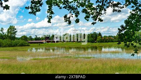 Überflutetes Grünland bei Rastatt in Baden-Württemberg, Deutschland, Europa Stockfoto