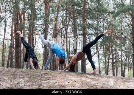 Eine Gruppe von drei Personen, die Übungen im Wald machen. Ein Mann und zwei Mädchen in einer Hundepose mit einem erhobenen Bein. Einbeinige, nach unten gerichtete Hundestellung. Stockfoto