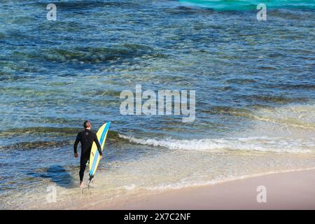 Ein Surfer in einem Neoprenanzug mit einem Surfbrett geht in Surfer's Point, Prevelly, Margaret River Region, Western Australia, ins Meer. Stockfoto