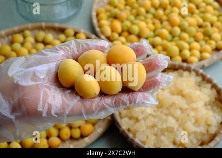 Rohmaterial für die Herstellung köstlicher Getränke aus Aprikose oder japanischer Pflaume mit Zucker, saisonale Früchte, die gut für die Gesundheit, Ernährung, reichhaltiges Vitamin Stockfoto