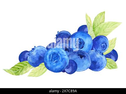 Heidelbeerzusammensetzung. Blaue Beeren, Grün und Blätter in Aquarellfarben. Ein Zweig reifer Heidelbeere liegt auf dem Tisch. Abbildung für Verpackung von Öko-Prod Stockfoto