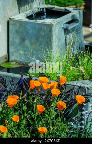 London, Großbritannien. Mai 2024. Flood Re: The Flood Resilient Garden, Designer: Naomi Slade und Ed Barsley - The RHS Chelsea Flower Show 2024. Sie läuft ab dem 20-25. Mai. Guy Bell/Alamy Live News Stockfoto