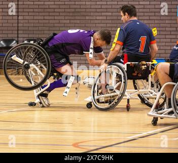 Brentwood Essex 19. Mai 2024 Rollstuhl Rugby League: Brentwood Aels (Stripped Shirt, gelbe Tags) vs Team Colostomy UK (Purple Shirts, weiße Tags) im Brentwood Centre, Brentwood Essex UK Credit: Ian Davidson/Alamy Live News Stockfoto