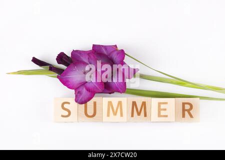 Violette Gladiolusblüte und das Wort Sommer aus Holzwürfeln auf grauem Hintergrund. Hallo Sommer. Grußkarte Stockfoto