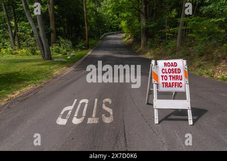 Das Schild Reading Road ist für den Verkehr geschlossen, neben dem Stoppschild auf der Landstraße mit Bäumen im Hintergrund. Stockfoto