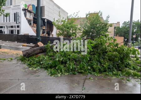 Houston, USA. Mai 2024. Am 17. Mai 2024 werden die Aufräumarbeiten fortgesetzt, nachdem am 16. Mai 2024 starke Winde, die auf bis zu 100 km/h geschätzt werden, durch die Innenstadt von Houston gerissen wurden. Auf den Bürgersteigen rund um die Stadt sind Häufchen von Baumstämmen und Ästen zu sehen, wo Bäume in der Hälfte gerissen und durch den starken Wind aus dem Boden gehoben wurden. (Foto: Jennifer Lake/SIPA USA) Credit: SIPA USA/Alamy Live News Stockfoto