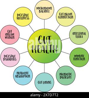 Darmgesundheit, Wohlbefinden des Magen-Darm-Traktes, Vektor-Mindmap-Infografiken Stock Vektor