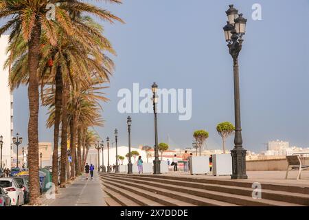Fußgänger spazieren entlang der von Palmen gesäumten Vendaval Strandpromenade in Cadiz, Spanien. Stockfoto
