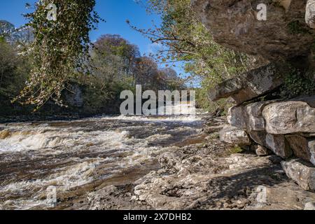 Felswand am Rand des Wasserfalls bei Aysgarth in den Yorkshire Dales Nordengland Stockfoto