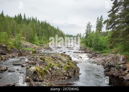 Der Norwegian River am kleinen Wasserfall Stockfoto