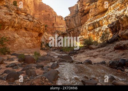 Der Sulphur Creek fließt durch den Rocky Canyon im Capitol Reef National Park Stockfoto