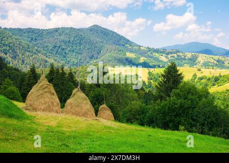 Heuhaufen auf einem grasbewachsenen Hügel. Traditionelle ländliche Landschaft der bergigen karpaten der ukraine. Ruhiger, sonniger Nachmittag mit Wolken am Himmel Stockfoto