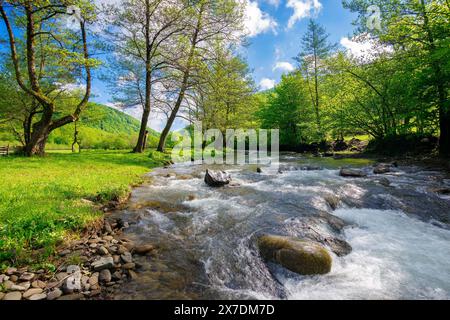 Ein kleiner Gebirgsfluss fließt durch das karpaten-Tal. Wunderschöne Naturlandschaft der ukraine im Morgenlicht. Bäume am grasbewachsenen Ufer. Weide in der Th Stockfoto