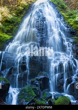 Fairy Falls, Columbia River Gorge National Scenic Area, Oregon. Stockfoto