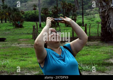 Valencia, Carabobo, Venezuela. Mai 2024. Mai 2024. Eine Frau fotografiert mit ihrem Handy die Blüte der Ceylon-Palme (Corypha umbraculifera) in den Gärten der Universität von Carabobo. Seit 2013 hält die südasiatische Palme den Guinness-Weltrekord als größte verzweigte Blütenstände der Welt, die zwischen 40 und 80 Jahren blühen. Foto: Juan Carlos HernÃndez (Foto: © Juan Carlos Hernandez/ZUMA Press Wire) NUR REDAKTIONELLE VERWENDUNG! Nicht für kommerzielle ZWECKE! Stockfoto