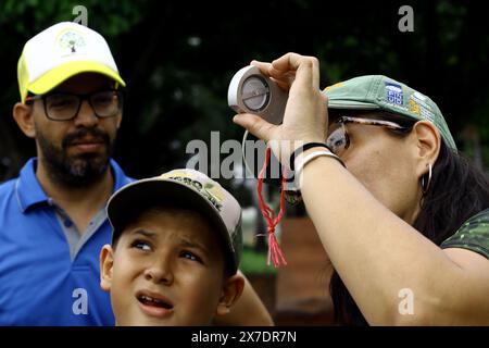 Valencia, Carabobo, Venezuela. Mai 2024. Mai 2024. Eine Frau beobachtet mit einem Klinometer (Instrument zur Höhenmessung) die Ceylonpalme (Corypha umbraculifera) in den Gärten der Universität von Carabobo. Seit 2013 hält die südasiatische Palme den Guinness-Weltrekord als größte verzweigte Blütenstände der Welt, die zwischen 40 und 80 Jahren blühen. Foto: Juan Carlos HernÃndez (Foto: © Juan Carlos Hernandez/ZUMA Press Wire) NUR REDAKTIONELLE VERWENDUNG! Nicht für kommerzielle ZWECKE! Stockfoto