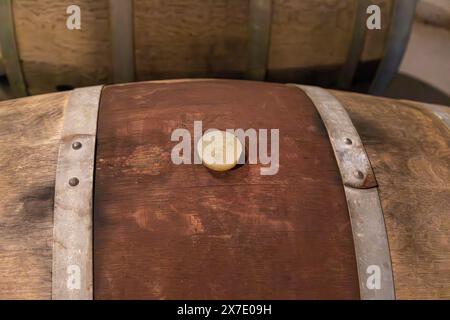 Nahaufnahme auf einem alten Holzfässer aus Eichenholz mit Wein. In der Mitte befindet sich der Holzstopfen, um die Öffnung des Zylinders abzudichten Stockfoto