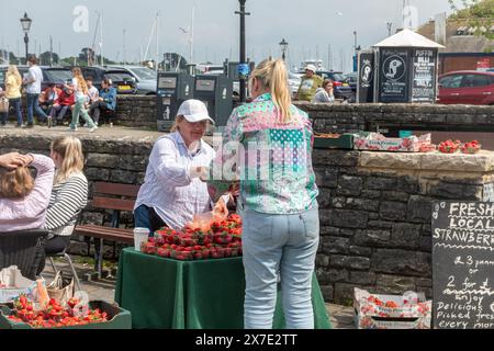 Frau, die im Mai im Lymington Harbour frische Erdbeeren verkauft, Hampshire, England, Großbritannien Stockfoto