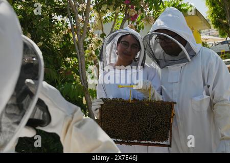 Tijuana, Baja California, Mexiko. Mai 2024. Bienenfreunde und das Paar Acecentli Vazquez und Enrique Aleman machen am Samstag, den 18. Mai 2024, ein posiertes Selfie mit einer Wabenwand während einer einstündigen informativen Bienenführung bei Dear Honey, einer landwirtschaftlichen Imkerei in Tijuana, Mexiko. (Kreditbild: © Carlos A. Moreno/ZUMA Press Wire) NUR REDAKTIONELLE VERWENDUNG! Nicht für kommerzielle ZWECKE! Stockfoto