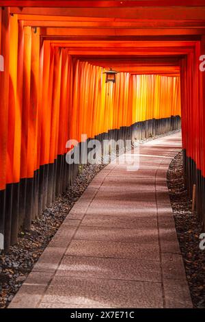 Kyoto, JAPAN - 28. Juli 2016: Vertikale Ansicht der roten Torii-Tore am Fushimi Inari-Schrein. Stockfoto