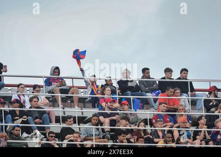 Barcelona, Esp. Mai 2023. FC BARCELONA GEGEN RAYO VALLECANO. 19. Mai 2024 Fans des FC Barcelona während des Spiels zwischen dem FC Barcelona und Rayo Vallecano, das dem siebenunddreißigsten Tag der La Liga EA Sports im Olimpic-Stadion Lluis Companys von Montjuic in Barcelona entspricht. Quelle: Rosdemora/Alamy Live News Stockfoto