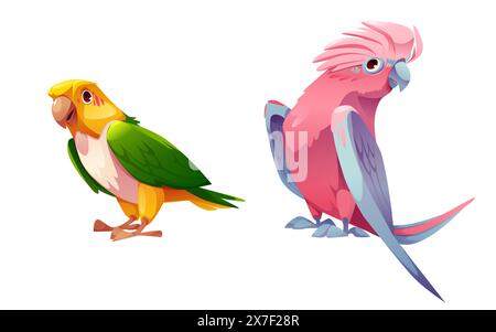 Bunte Papageienvögel, isoliert auf blauem Hintergrund. Vektor-Karikaturillustration des süßen exotischen Maskottchens mit Farbe Feder, Schnabel und Flügel, tropische Natur Design Elemente, Dschungel Wildtiere Zeichen Stock Vektor