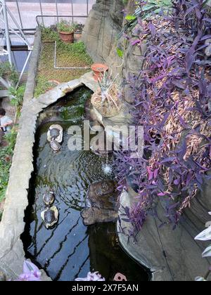 Die 1984 eröffneten Pflanzen wurden in der West Ham Park Nursery vermehrt . Das Conservatory ist die Heimat einer lebhaften Mischung aus Fischen, Terrapins und über 1.500 Pflanzen- und Baumarten. Stockfoto