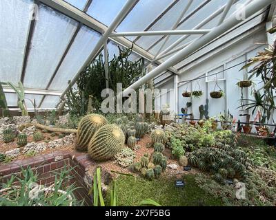 Die 1984 eröffneten Pflanzen wurden in der West Ham Park Nursery vermehrt . Das Conservatory ist die Heimat einer lebhaften Mischung aus Fischen, Terrapins und über 1.500 Pflanzen- und Baumarten. Stockfoto