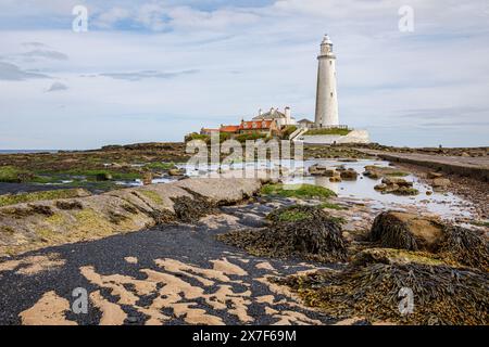 St Mary's Lighthouse, Whitley Bay, North Tyneside, Tyne and Wear, England, Vereinigtes Königreich Stockfoto