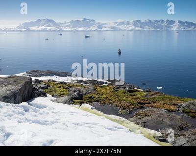 Antarktis-Kreuzfahrtschiff vor Anker am Palaver Point, Two Hummock Island, Palmer Archipel. Stockfoto