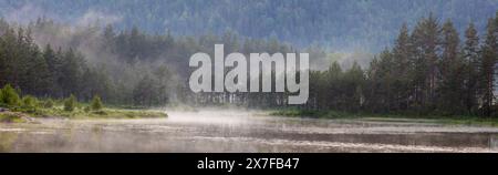 Bewaldete Landschaft mit Frühsommernebel an einem kleinen See in Drangedal, Telemark, Norwegen. Stockfoto