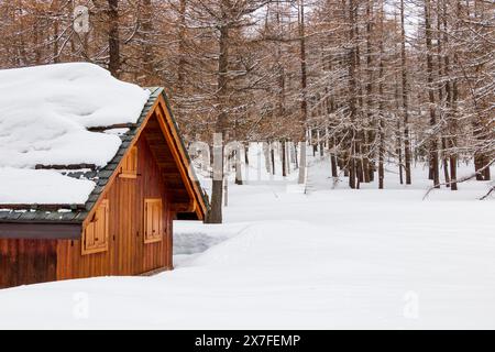 Hölzerne Hütte in den Wald mit Schnee Stockfoto