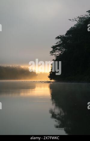 Erstes Sonnenlicht mit Sonnenstrahlen im Nebel am Kinabatangan River in Sukau, Sabah, Borneo, Malaysia Stockfoto