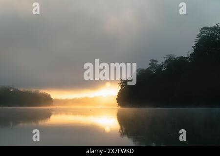 Sonnenaufgang mit Sonnenstrahlen im Nebel am Kinabatangan River in Sukau, Sabah, Borneo, Malaysia Stockfoto