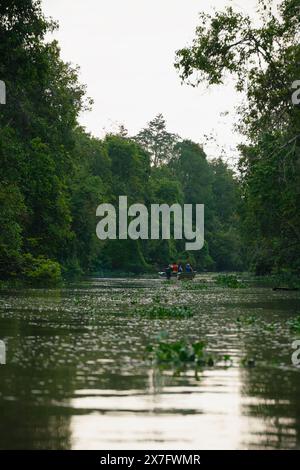 Bootstour mit Wildtierbeobachtung am Kinabatangan River entlang üppiger Wälder in Sukau, Sabah, Borneo, Malaysia Stockfoto