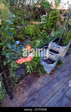 London, Großbritannien. Mai 2024. Eröffnungstag bei der Royal Horticultural Society Chelsea Flower Show 2024 - einer der Sanctuary Gardens auf der Ausstellung: The Flood Re: The Flood Resilient Garden der Garten ist so gestaltet, dass er schön und angenehm ist, während er gleichzeitig das Hochwasserrisiko reduziert und sich nach starkem Regen schnell erholt. Das dichte Pflanzen verlangsamt den Wasserfluss, fängt es auf und speichert es für den späteren Gebrauch. Ein erhöhtes Deck und ein Hügel, verbunden durch eine Brücke über eine zentrale Talsohle, bieten bewohnbare Räume und gut durchlässigen Boden. Quelle: Michael Preston/Alamy Live News Stockfoto