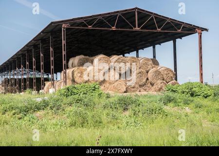 Heulagerung zum Schutz der geernteten Ballen in großen landwirtschaftlichen Betrieben im Sommer Stockfoto