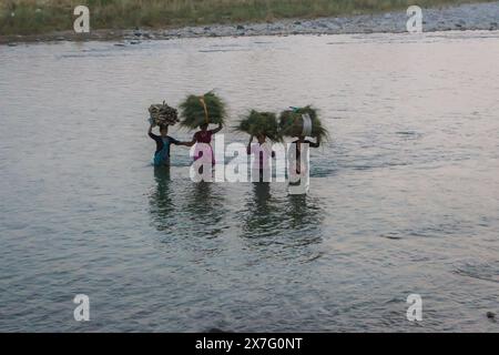 Indien, Rishikesh - 23 10 2017: Indische Frauen tragen Gras auf Kopf entlang des Flusses. Indische Kultur. Indischer ländlicher Lebensstil. Harte Frauenarbeit. Stockfoto