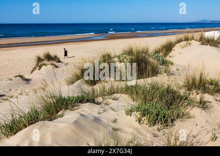 Strand mit Dünen am Monte Gordo, östliche Algarve, Algarve, Portugal, Europa Stockfoto