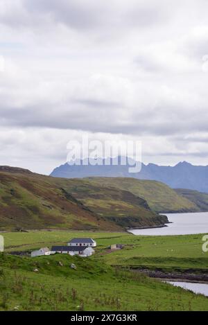Schafzucht am Ufer Stockfoto