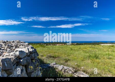 Monkodonja-Siedlung aus der Bronzezeit, archäologische Stätte von Rovinj in Kroatien Stockfoto