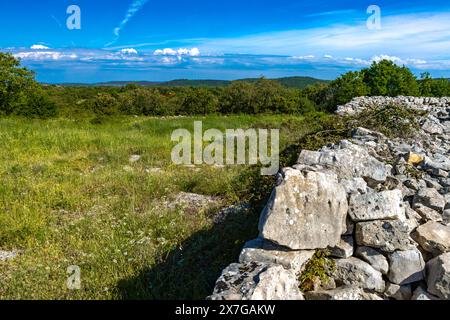 Monkodonja-Siedlung aus der Bronzezeit, archäologische Stätte von Rovinj in Kroatien Stockfoto